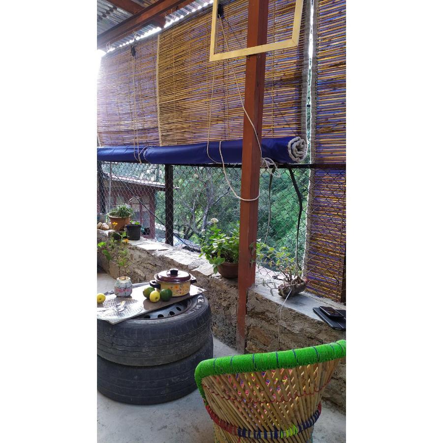 Shimla Gypsy - Home Stay Bagian luar foto